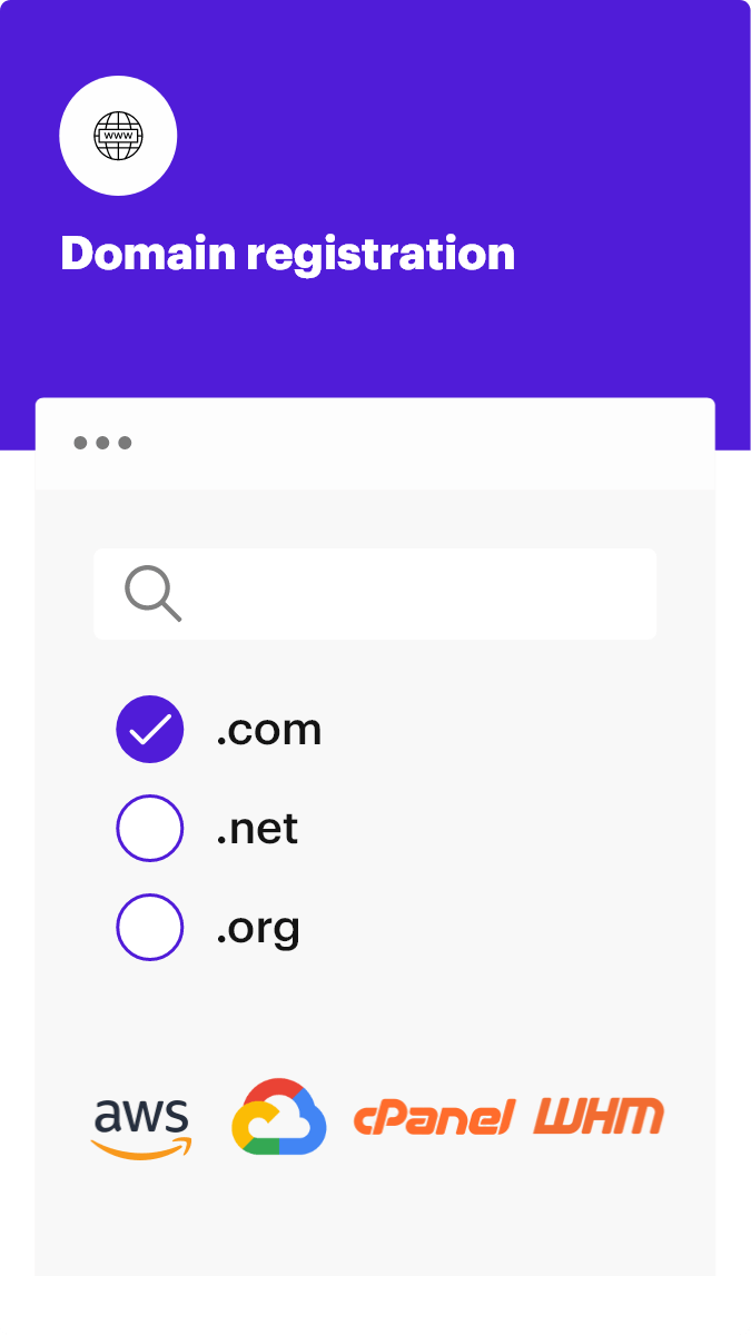 Domain Register 1 domain registration